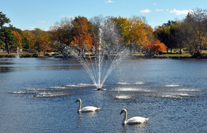 Hecksher Park