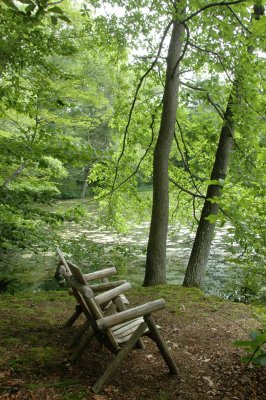 Bailey Arboretum