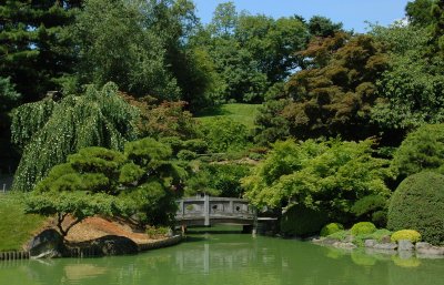 Japanese  Garden