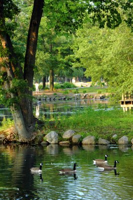 Hecksher  Park