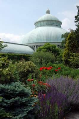 NY Botantical Garden