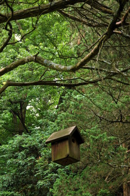 Bailey Arboretum