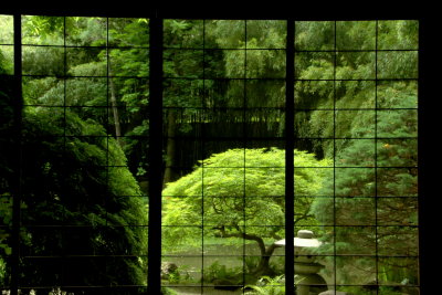 Japanese Stroll Garden