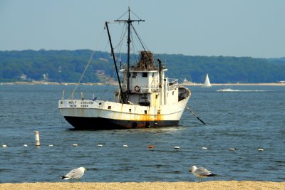 Eaton Neck Harbor