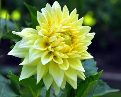 Bayard Cutting Arboretum