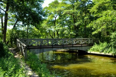 Bayard Cutting Arboretum