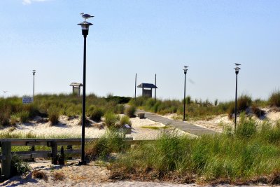 Captree State Park