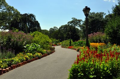 Bayard Cutting Arboretum