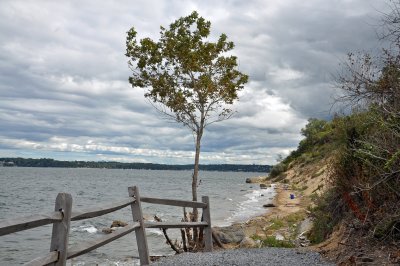 Sands Point Preserve