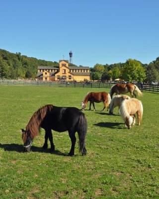 Old Bethpage Village