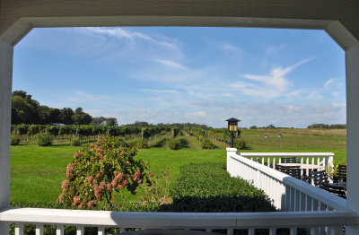 Macari Vineyards