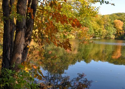 Upper Francis Pond Preserve