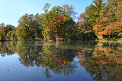 Bailey  Arboretum