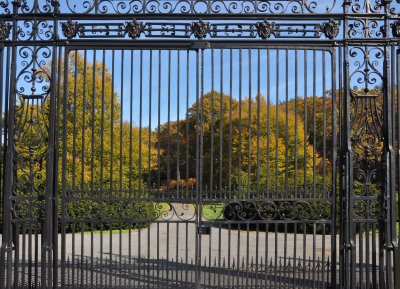 Planting Fields Arboretum