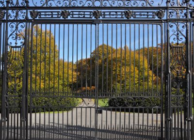 Planting Fields  Arboretum