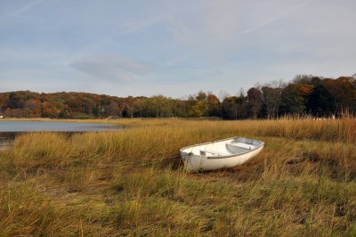 Oyster Bay Cove