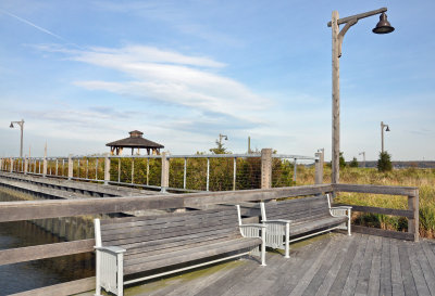 Oyster Bay