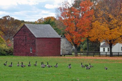 Old Bethpage Village Restoration