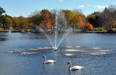 Hecksher Park