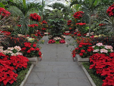 Planting Fields Arboretum