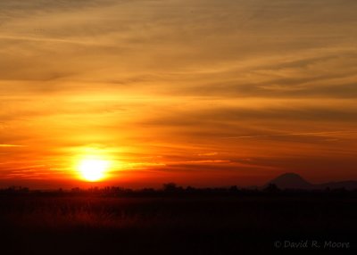 Sunrise