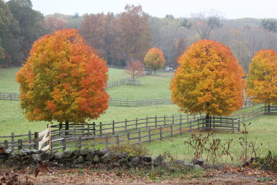 South Natick
