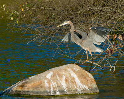 GBH_7638.jpg