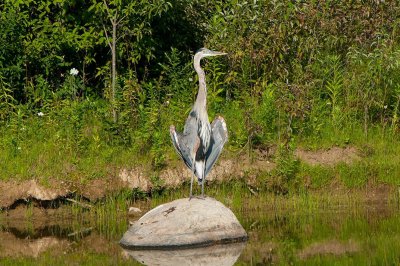 GBH2_D3S2520-Web.jpg