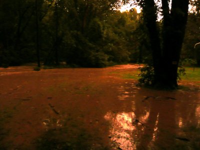 P1110194 e.jpg