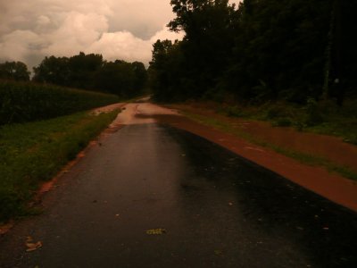 P1110198 e.jpg