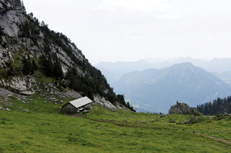 DSC00473_DxO.jpg