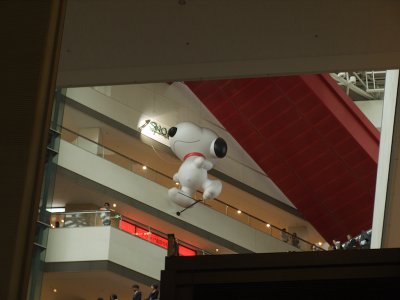 P5285280.jpg