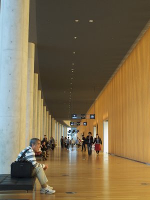 P5295560.jpg