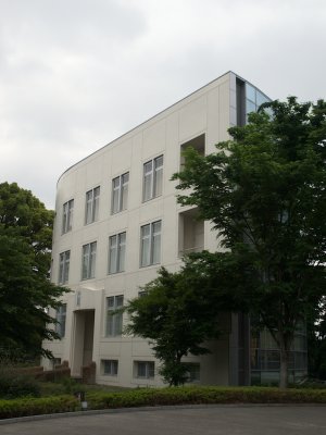 P5295565.jpg