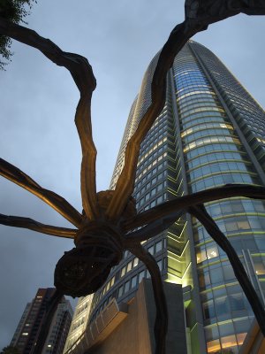 P5295575.jpg
