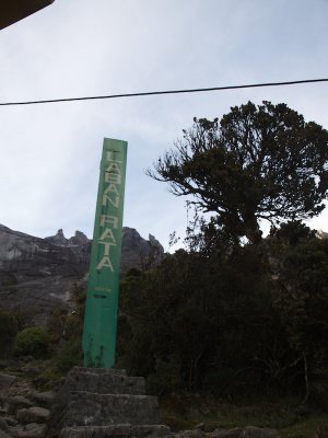 P8076345.jpg