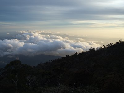 P8076346.jpg