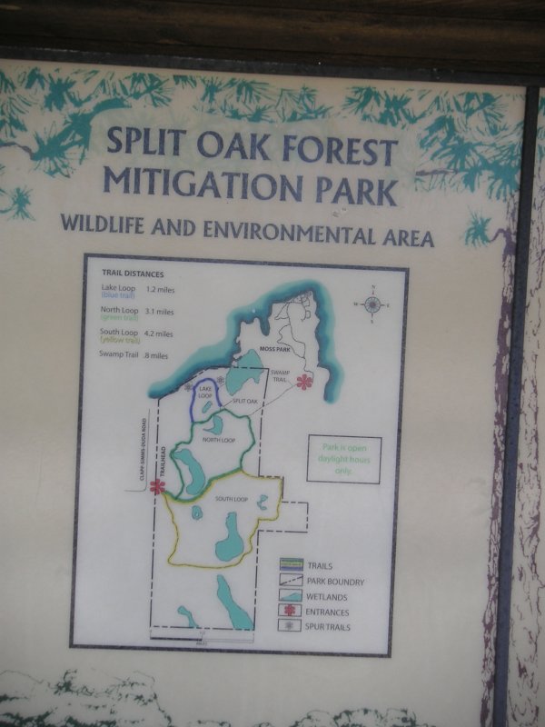 Split Oak Map
