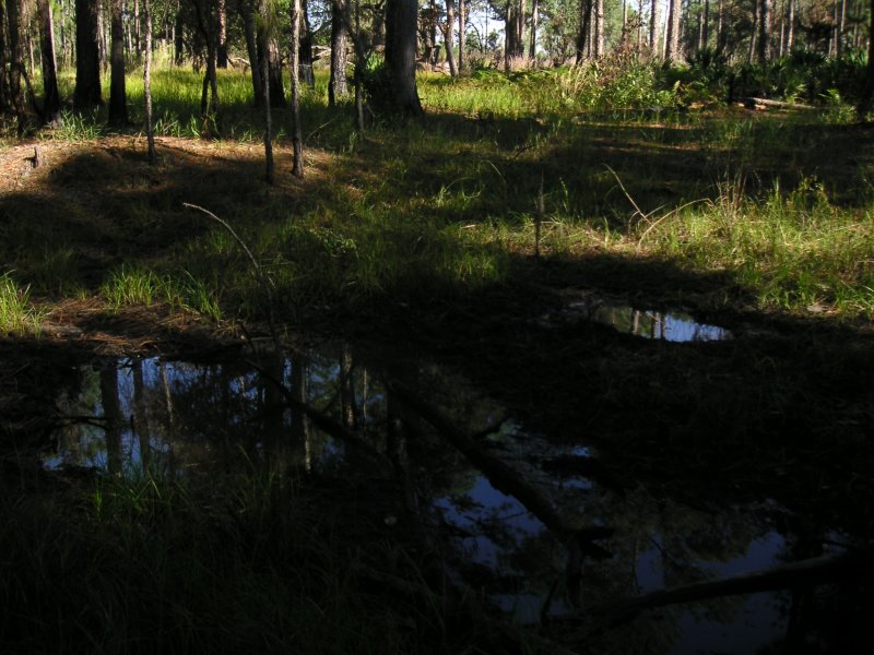 Wet Area