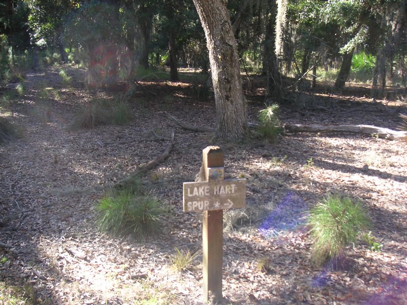 Lake Spur Marker