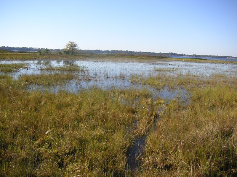 LakePan3