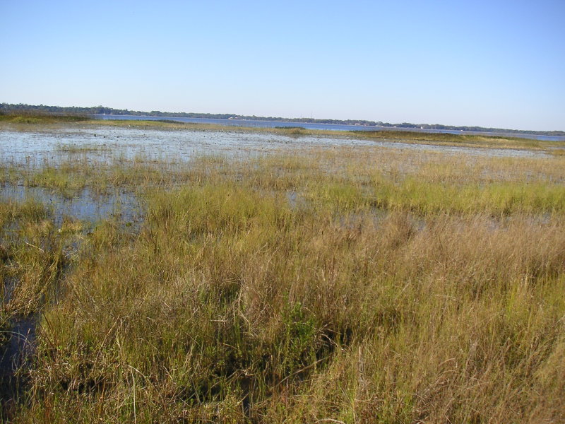 LakePan4