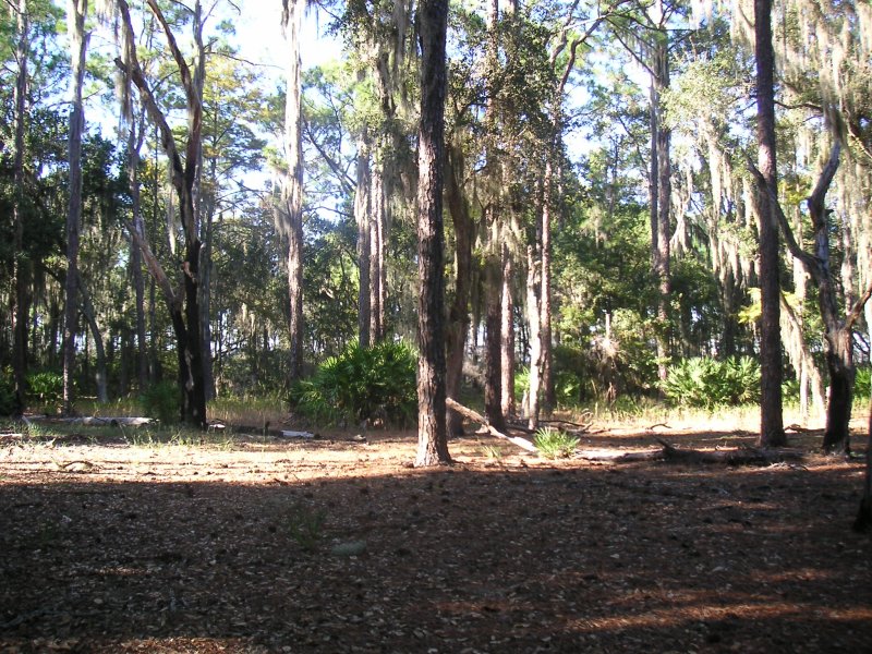 MidTrailDir2