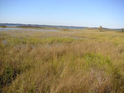 LakePan5