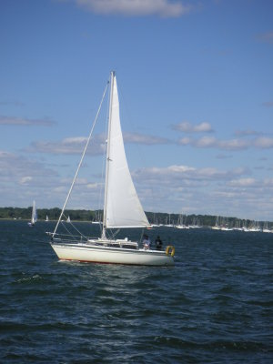 PICT0281.JPG