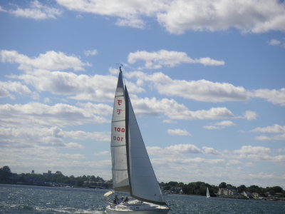 PICT0290.JPG