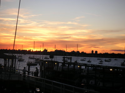 PICT0337.JPG