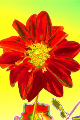 PICT0160-A.jpg