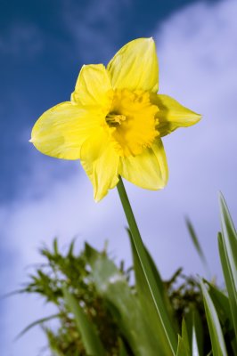 PICT0163.jpg