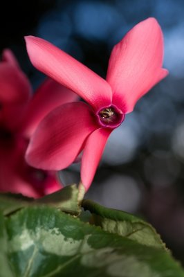 PICT0169.JPG